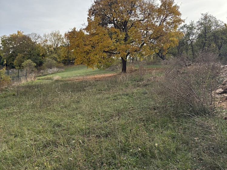 Ostatní