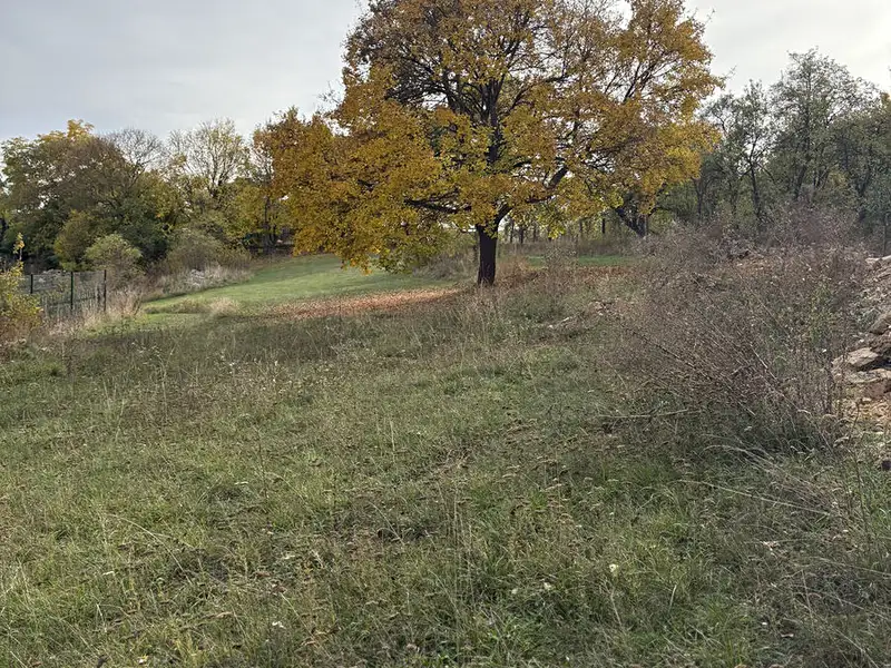Prodej stavebního pozemku 2948 m², Grešlové Mýto – náhled fotky 2