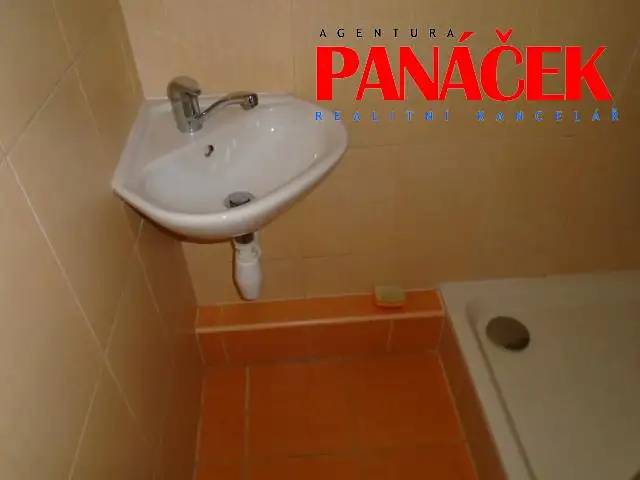 Pronájem bytu 1+1 46 m², Tečovice – náhled fotky 3