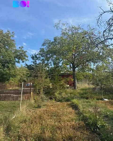 Prodej zahrady 972 m², Brno – náhled fotky 2