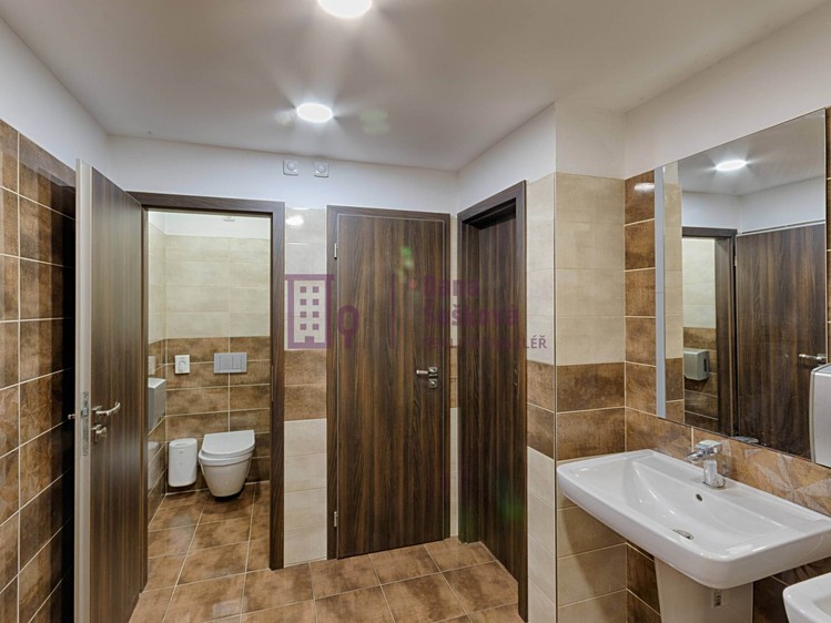Pronájem komerčního prostoru, 160 m² (9 z 10)