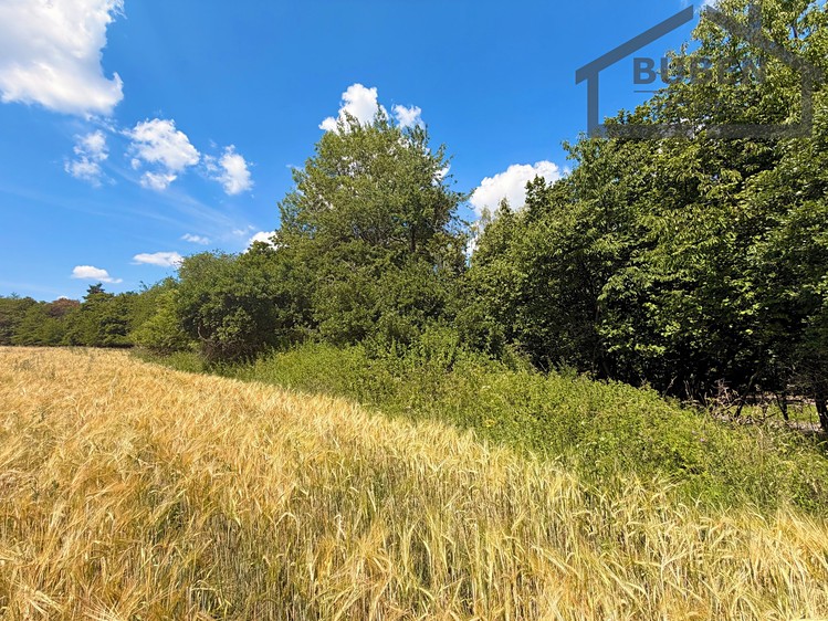Prodej pozemku, 4 165 m² (16 z 19)