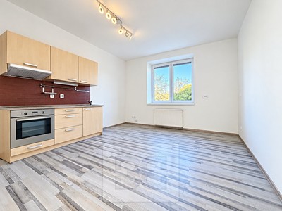 Pronájem bytu 2+kk, 40 m² (2 z 9)