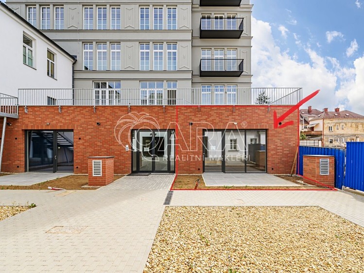 Комерційне приміщення в оренду, 48 м² (2 з 21)