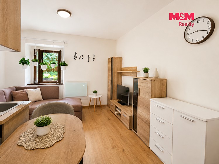 Prodej bytu 1+kk, 18 m² (7 z 15)