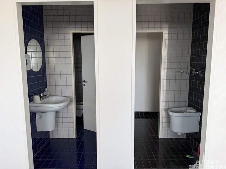 Pronájem komerčního prostoru, 230 m² (5 z 11)