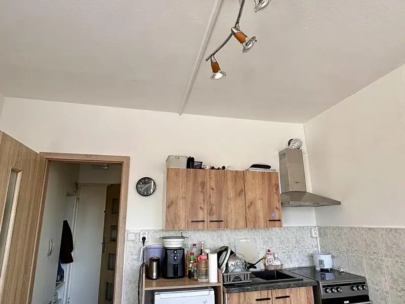 Prodej bytu 1+kk 24 m², Teplice – náhled fotky 1