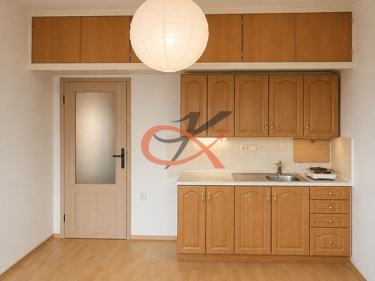 Pronájem bytu 1+kk 28 m²