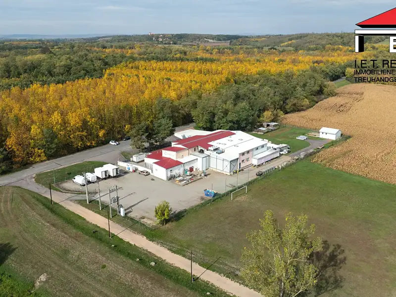 Prodej výrobní haly, prostoru 1821 m², Borotice – náhled fotky 1