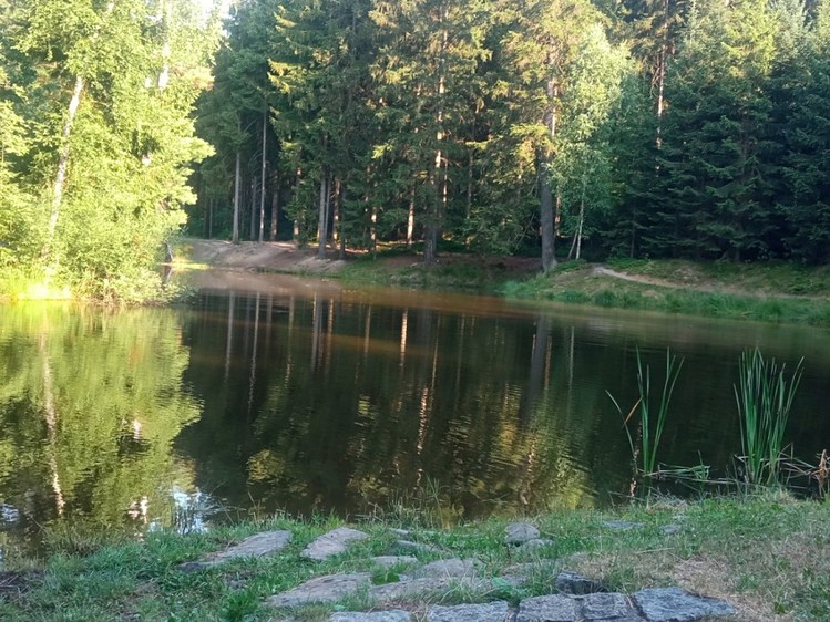 Ділянка на продаж, 8 531 м² (9 з 30)