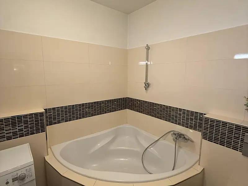 Pronájem bytu 1+kk 40 m², Praha – náhled fotky 3