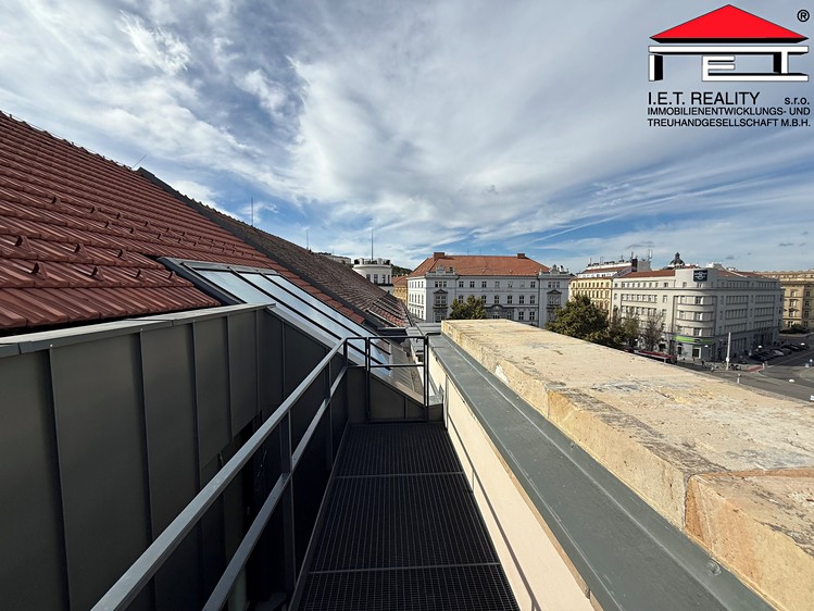 Pronájem komerčního prostoru, 196 m² (14 z 29)