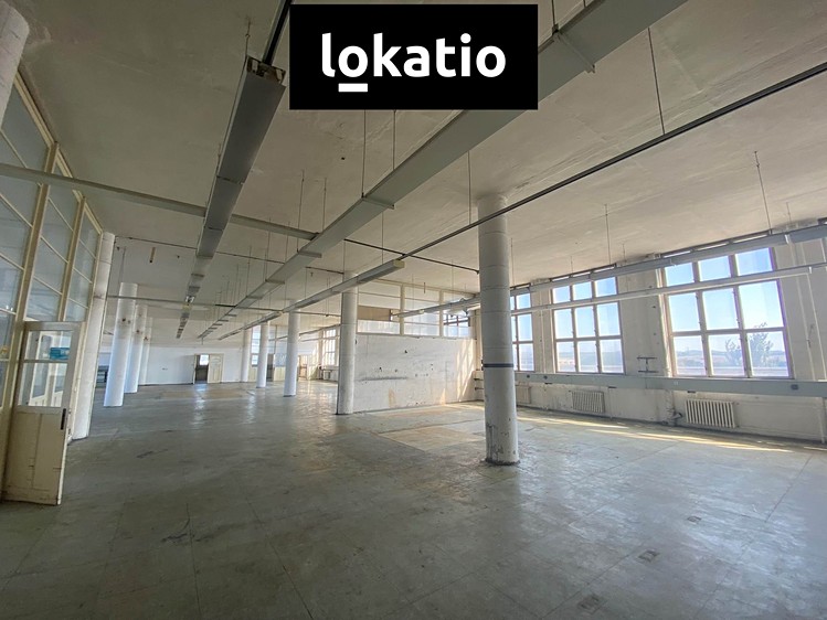 Gewerbefläche zur Miete, 169 m² (1 von 11)