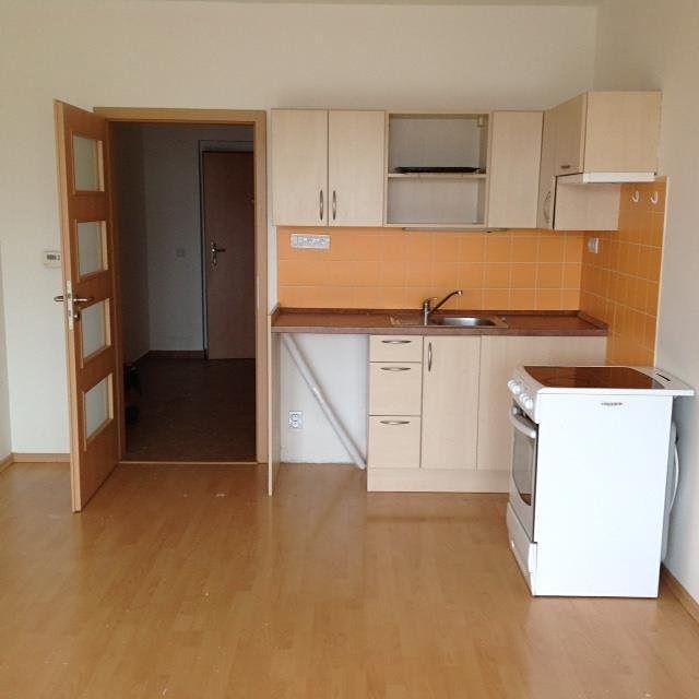 Pronájem bytu 1+kk 30 m²