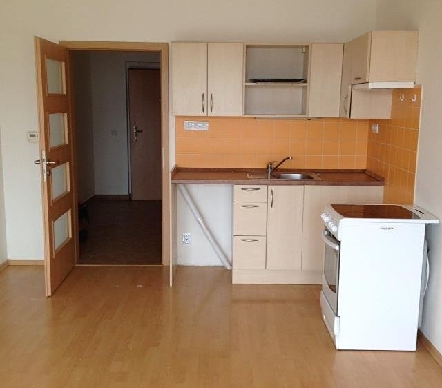 Квартира 1+kk в оренду, 30 м² (1 з 10)