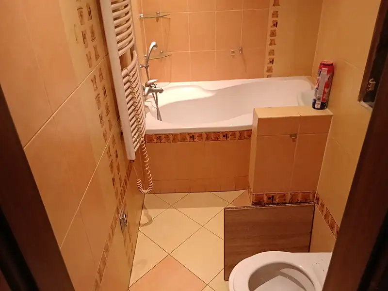Pronájem bytu 3+1 69 m², Třemošná – náhled fotky 3