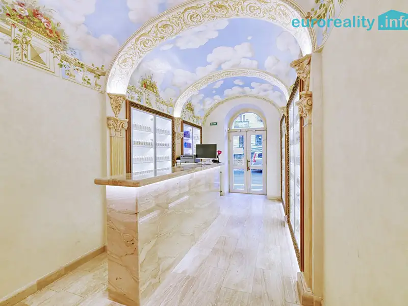 Pronájem obchodního prostoru 20 m², Karlovy Vary – náhled fotky 3
