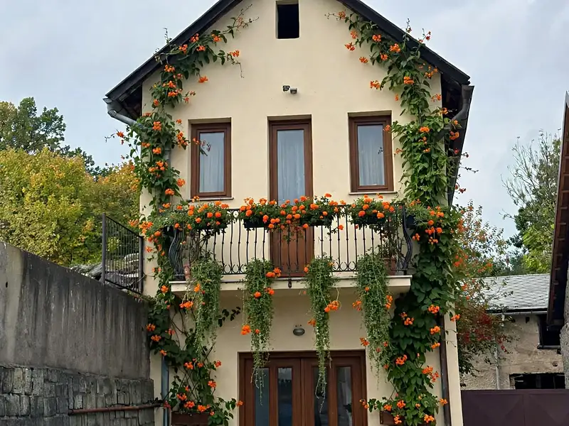 Pronájem obchodního prostoru 90 m², Nový Knín – náhled fotky 1