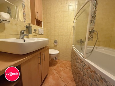 Wohnung 2+kk zur Miete, 50 m² (3 von 12)