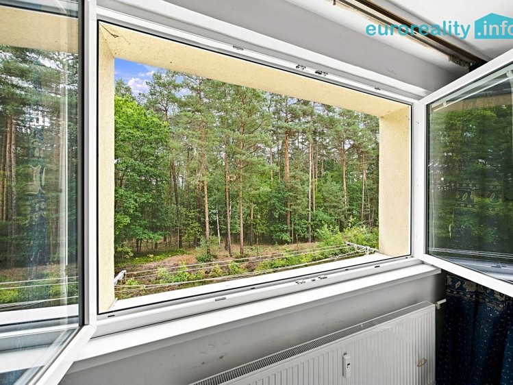 Prodej bytu 2+1, 42 m² (4 z 28)