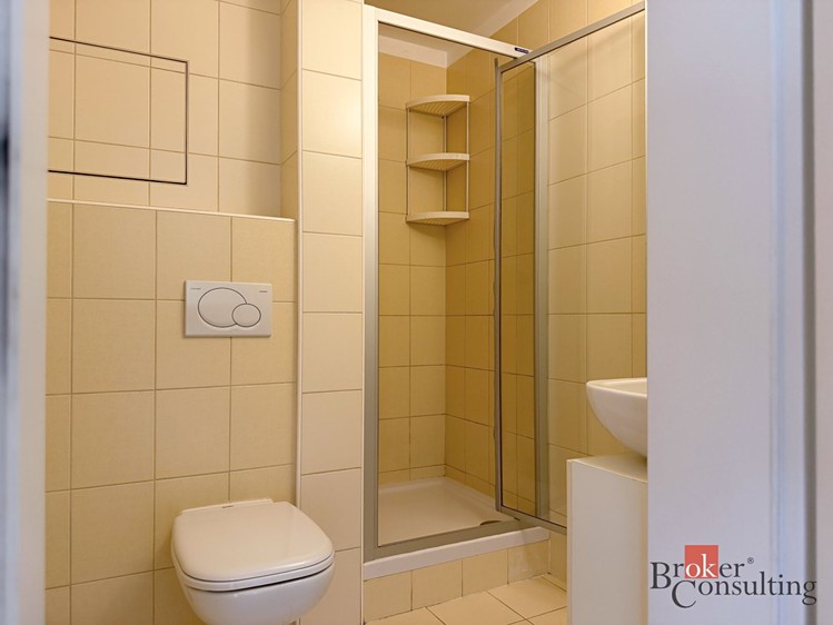 Pronájem bytu 1+kk, 33 m² (6 z 8)