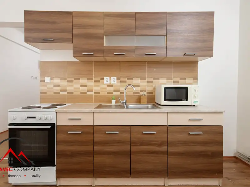 Pronájem bytu 1+1 42 m², Ostrava – náhled fotky 1