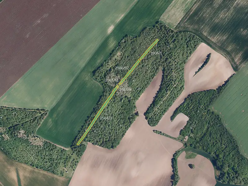 Prodej pole 15876 m², Klobouky u Brna – náhled fotky 3