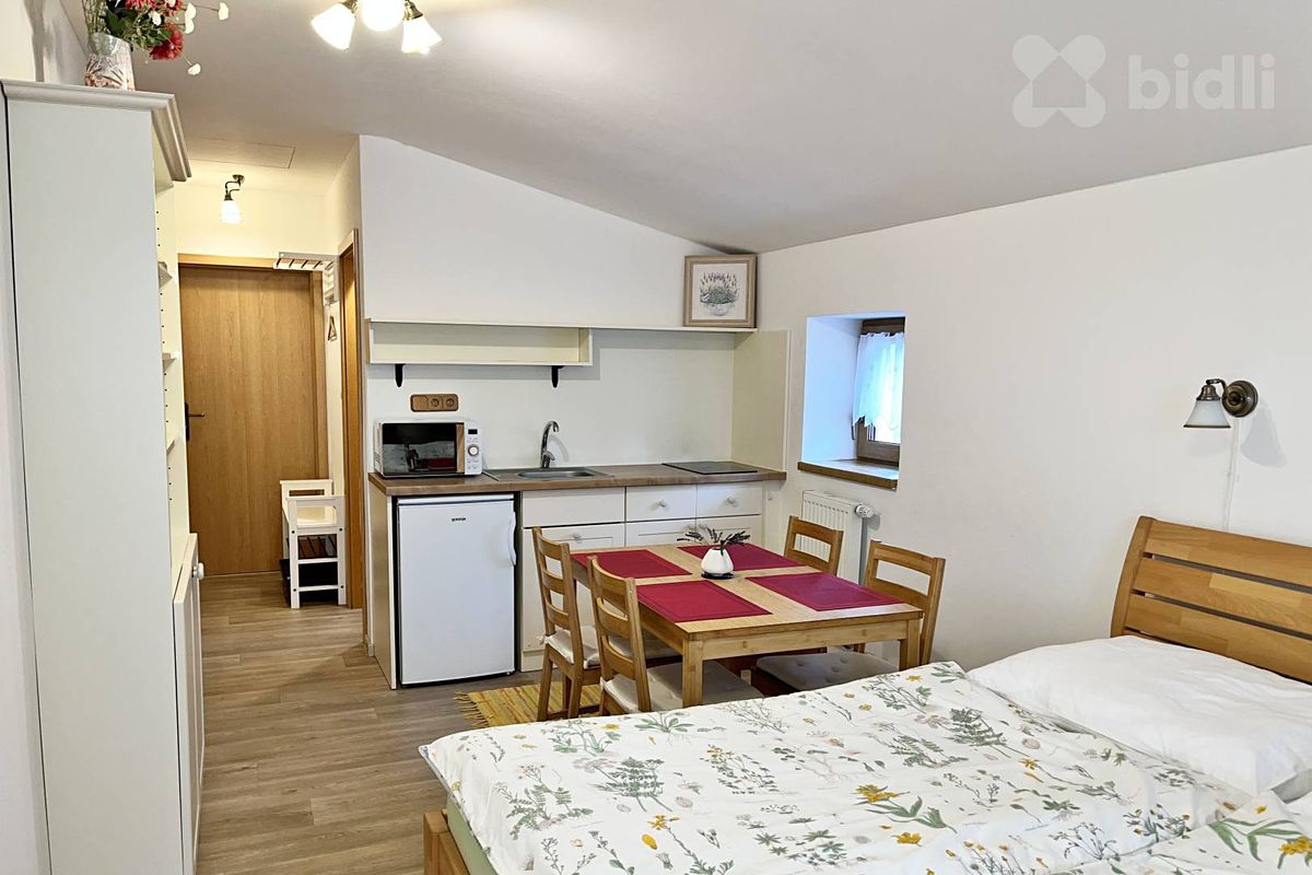 Pronájem bytu 1+kk 25 m²