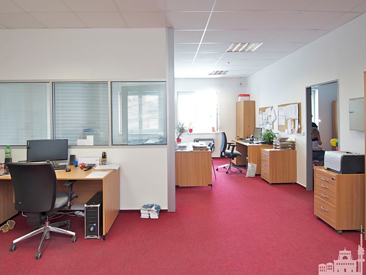 Pronájem komerčního prostoru, 1 395 m² (8 z 11)