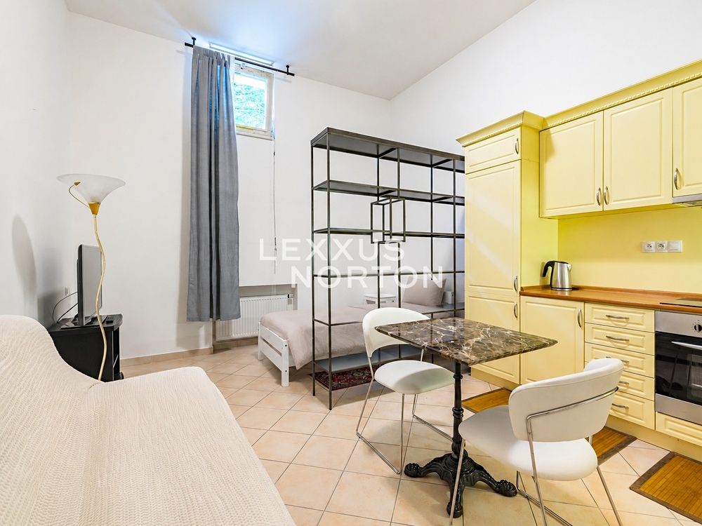 Pronájem bytu 1+kk 41 m², Praha – fotka 1 z 3