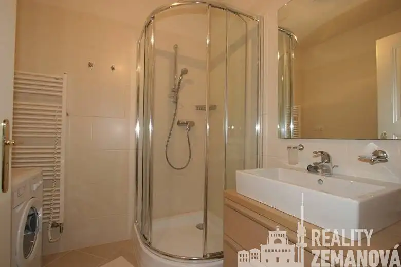 Pronájem bytu 1+kk 41 m², Praha – náhled fotky 3