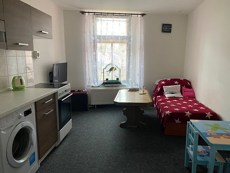Pronájem bytu 1+1, 50 m² (2 z 5)
