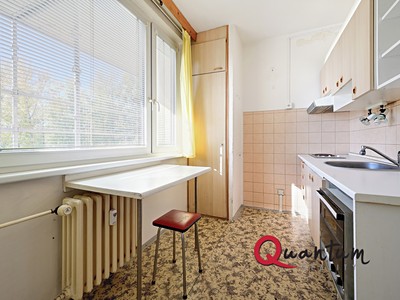 Prodej bytu 1+1, 42 m² (3 z 20)