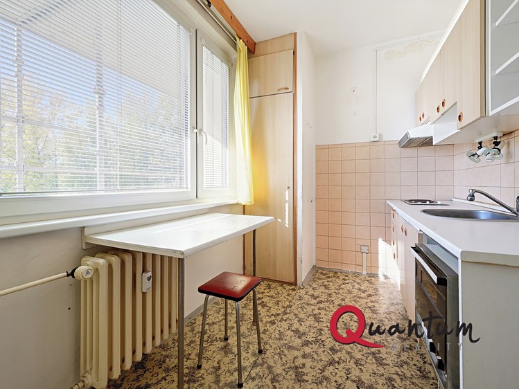 Prodej bytu 1+1, 42 m² (3 z 20)