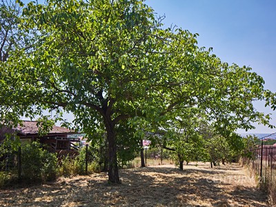 Prodej pozemku, 1 034 m² (3 z 11)