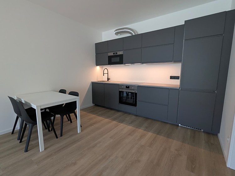 Pronájem bytu 2+kk, 53 m² (2 z 16)