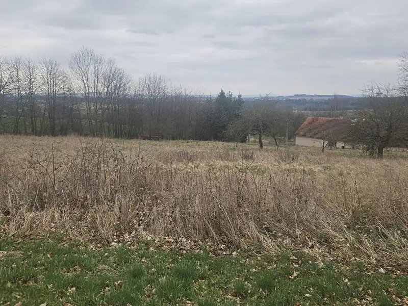 Dražba stavebního pozemku 5329 m², Mezno – náhled fotky 3