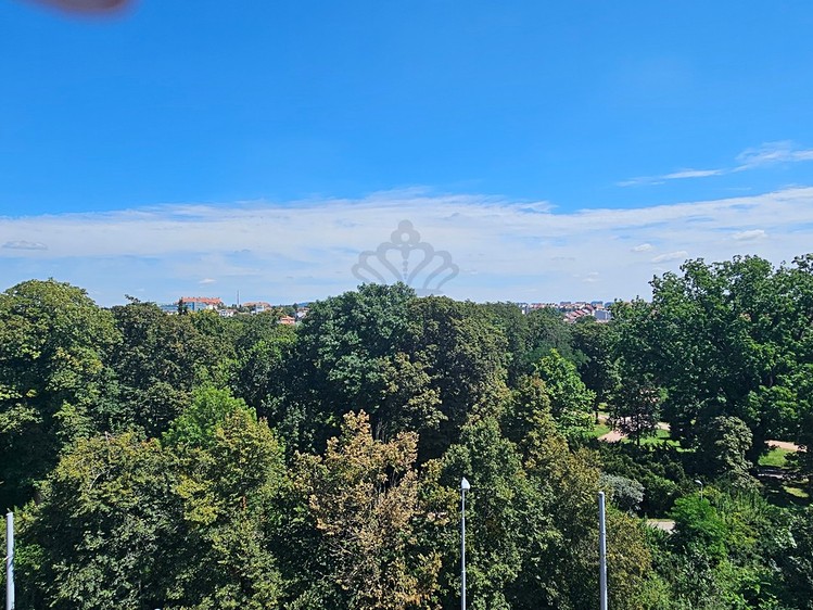 Ostatní