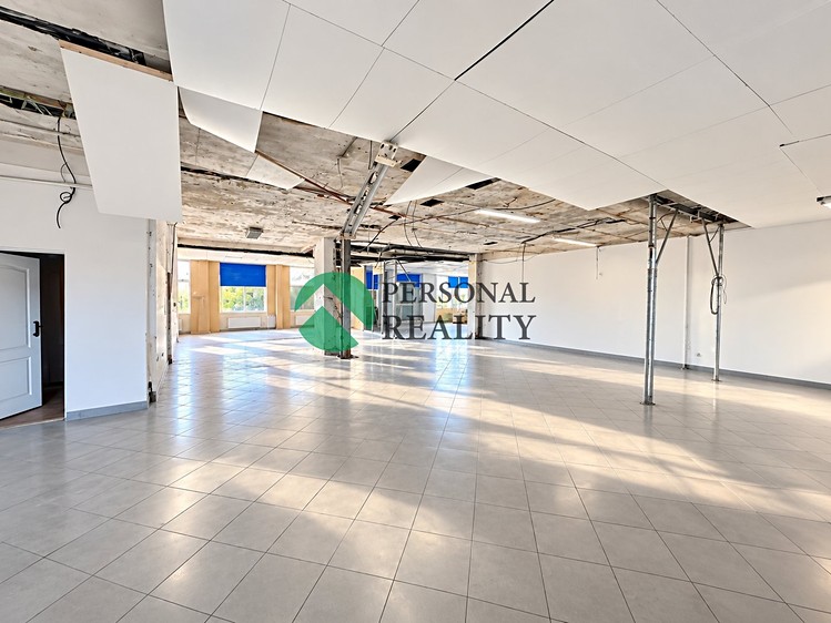 Prodej komerčního prostoru, 4 609 m² (3 z 9)