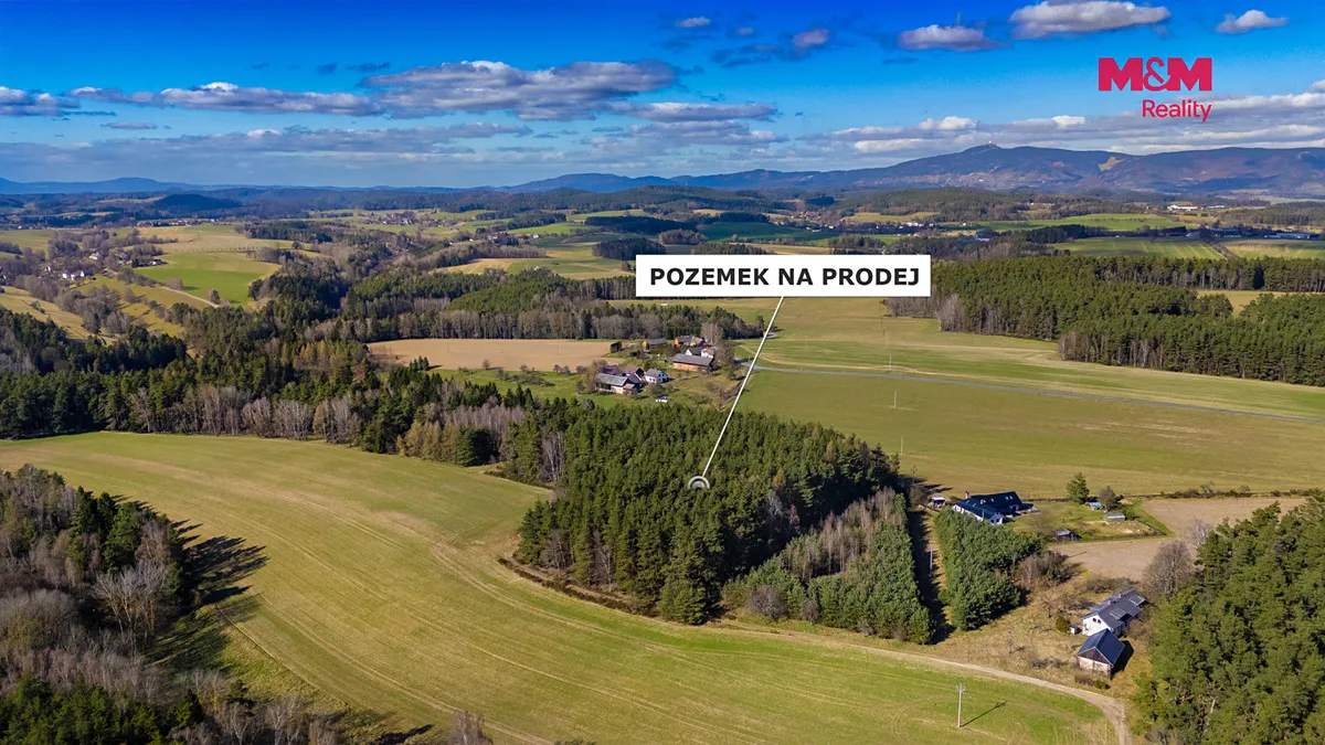 Fotka 12 z 12