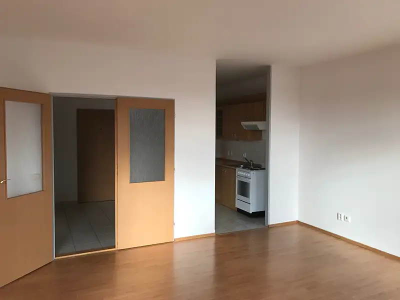 Pronájem bytu 1+kk 47 m², Tábor – náhled fotky 3