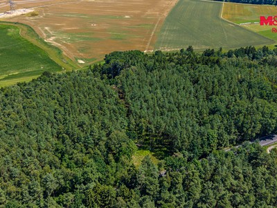 Prodej pozemku, 11 944 m² (3 z 10)