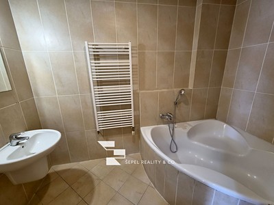 The 2+kk flat for rent, 107 m² (3 of 20)