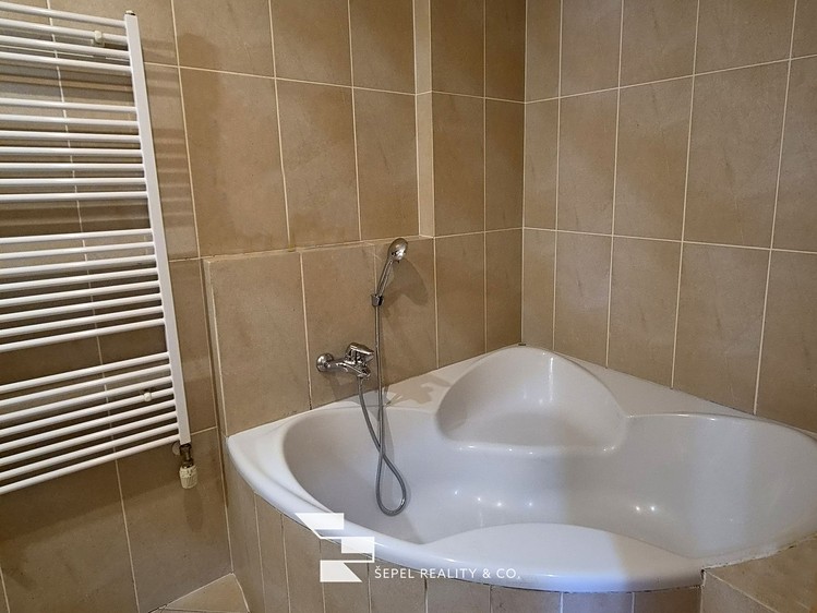 The 2+kk flat for rent, 107 m² (12 of 20)
