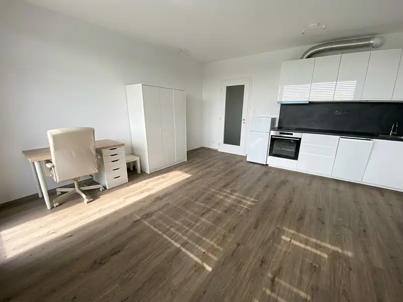 Pronájem bytu 1+kk 33 m², Praha – náhled fotky 2