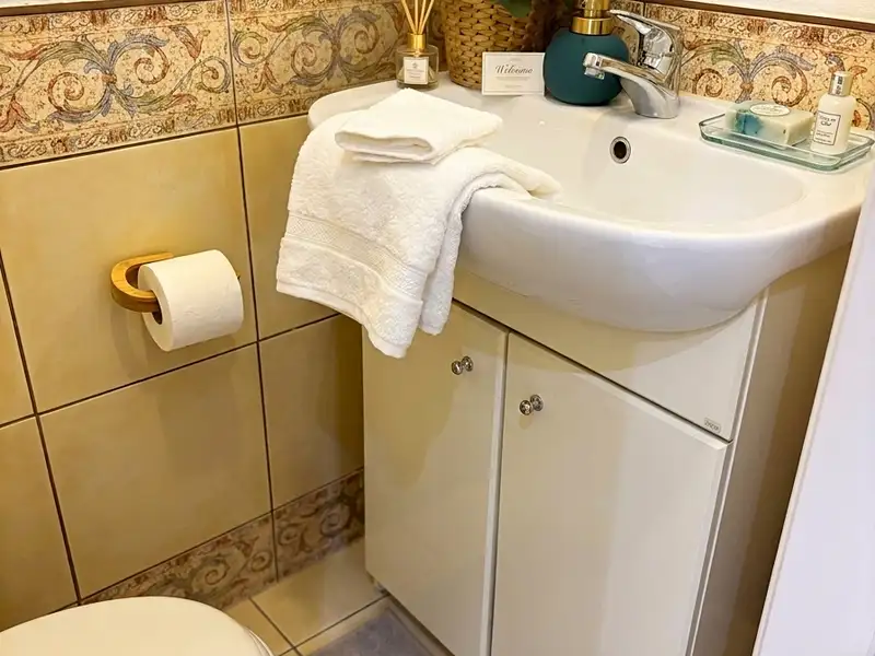 Prodej bytu 1+kk 25 m², Praha – náhled fotky 2