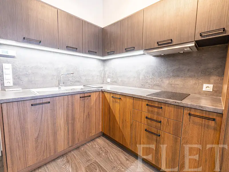 Pronájem bytu 1+kk 31 m², Praha – náhled fotky 3