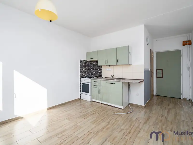Prodej bytu 1+1 35 m², Bílina – náhled fotky 3