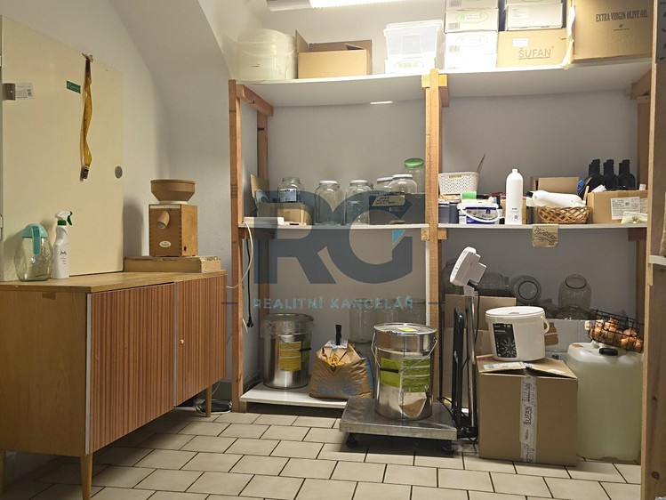 Pronájem komerčního prostoru, 120 m² (10 z 17)
