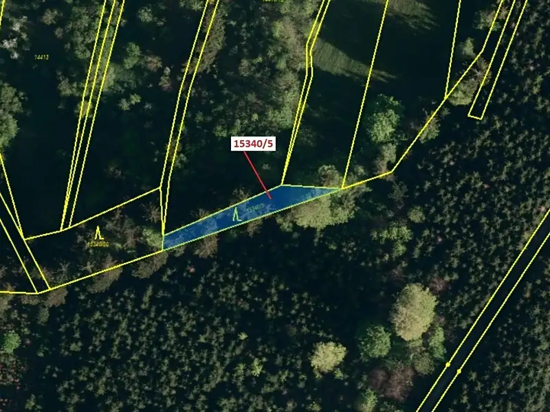 Dražba lesa 312 m², Hovězí – náhled fotky 2